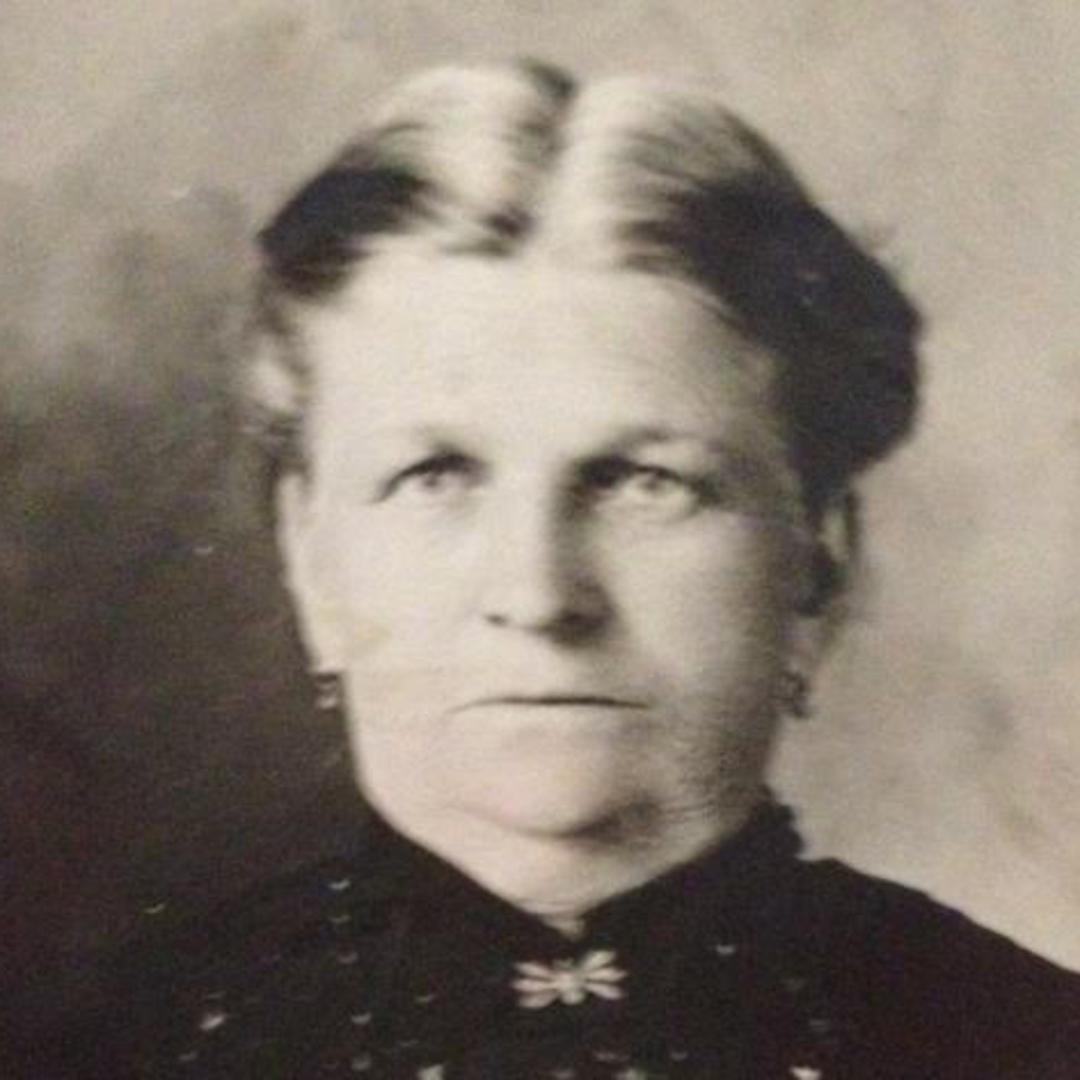 Jane Dorothy Patterson (1844 - 1914) Profile